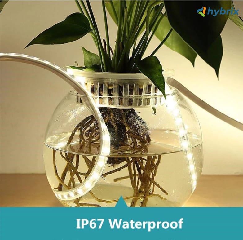 Hybrix Rope lights 
Diwali Offer